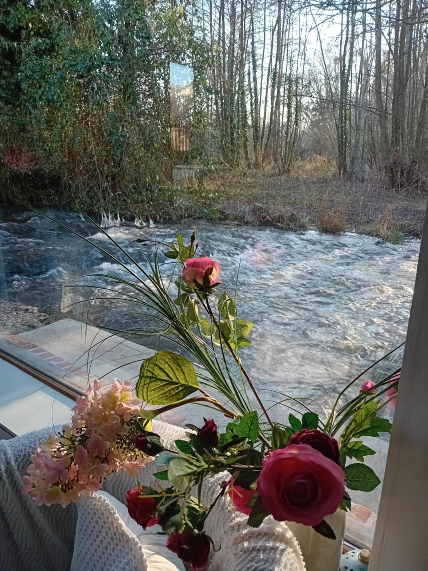 Neslette Le Moulin Des Roses Bed & Breakfast エクステリア 写真