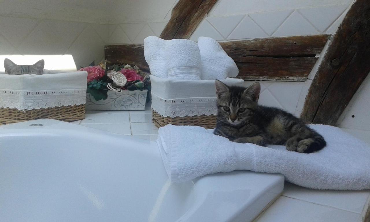 Neslette Le Moulin Des Roses Bed & Breakfast エクステリア 写真